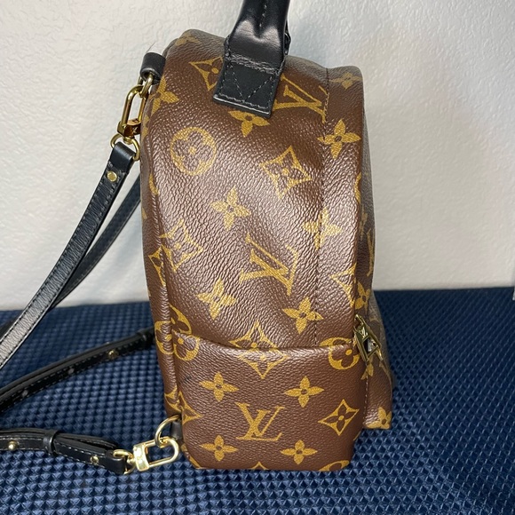 Louis Vuitton Palms Springs mini - Picture 6 of 15